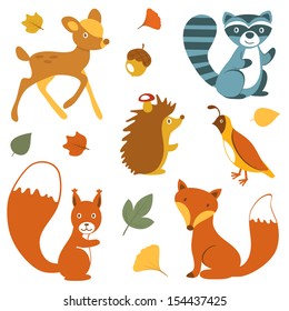 Cute woodland animals collection