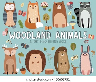 Cute Woodland Animals and Forest Design Elements Vector