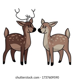 Cute woodland doe and stag vector illustration. Buck deer with antlers. Childlish hand drawn doodle style. For game animal decor, boho kids fashion, trendy doodle forest graphic design. 