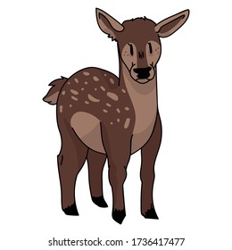 Cute woodland doe vector illustration. Buck deer with antlers. Childlish hand drawn doodle style. For game animal decor, boho kids fashion, trendy doodle forest graphic design. 