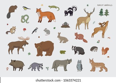 Cute woodland forest animals vector illustrations set