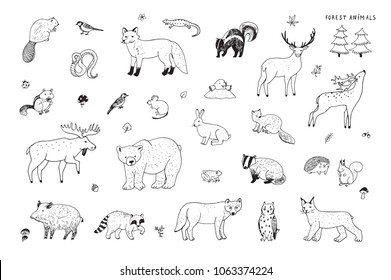 Cute woodland forest animals vector illustrations set