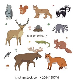Cute woodland forest animals vector illustrations set
