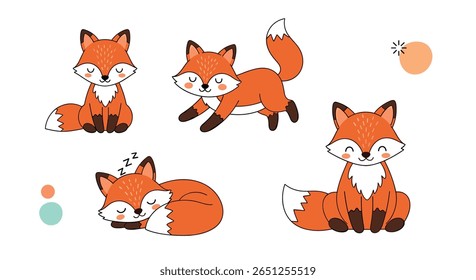 Lindas raposas da floresta adoráveis animais da floresta em várias poses