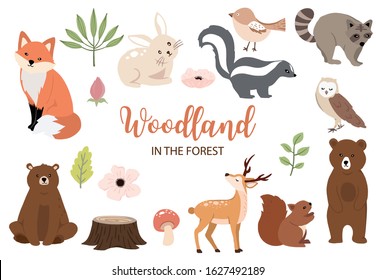 Cute woodland object collection with bear,rabbit,fox,skunk,mushroom and leaves.Vector illustration for icon,logo,sticker,printable