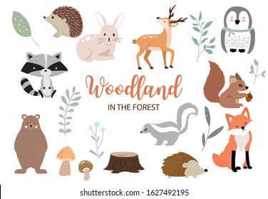 Cute woodland object collection with bear,rabbit,fox,skunk,mushroom and leaves.Vector illustration for icon,logo,sticker,printable