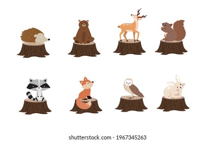 Cute woodland object collection with skunk,bear,fox,deer,stump and leaves.Vector illustration for icon,sticker,printable