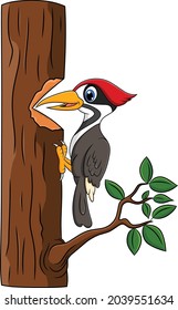 Cute Woodpecker bird cartoon vector illustration