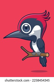 Cute Woodpecker Bird with Red Background