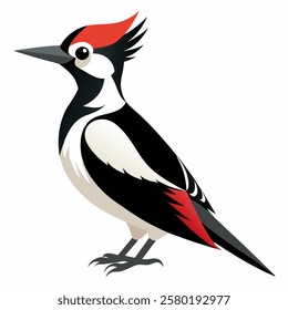 Cute woodpecker bird. Suitable for educational posters, logos, children's books and encyclopedias. Children's picture. Vector illustration