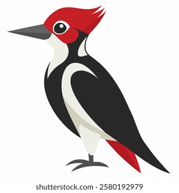 Cute woodpecker bird. Suitable for educational posters, logos, children's books and encyclopedias. Children's picture. Vector illustration