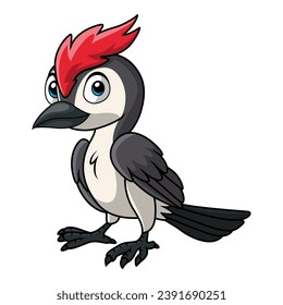 Cute woodpecker cartoon on white background