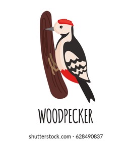 Cute Woodpecker in flat style isolated on white background. Vector illustration. Forest animal. Cartoon Woodpecker.