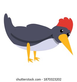 Cute woodpecker icon. Cartoon of cute woodpecker vector icon for web design isolated on white background