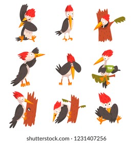 Cute woodpecker set, funny bird cartoon character in different situations vector Illustration on a white background