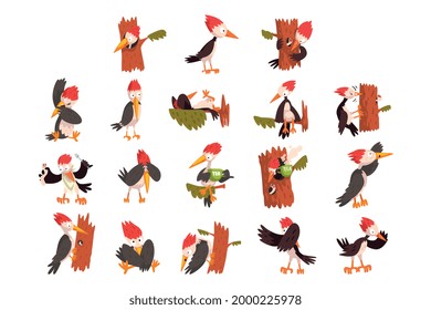 Cute Woodpeckers Set, Funny Bird Character Activity Cartoon Vector Illustration