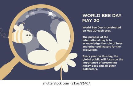 Afiche del Día Mundial de la Abeja con historia y propósito. Abeja y flores mullidas bajo una lupa con fondo de tierra. Celebrado el 20 de mayo. Ilustración vectorial. Editable. 