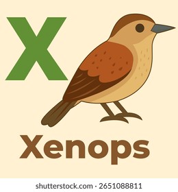 Xenops pássaro bonito representando a letra X de uma série de alfabetos animais infantis. Perfeito para flashcards, livros e materiais de aprendizagem inicial.