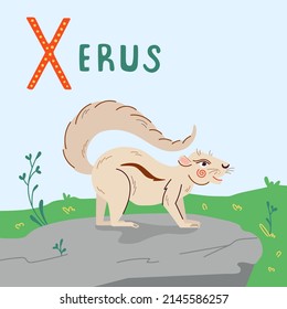 Cute xerus vector illustration. Ground squirrel character on white background, isolated object.