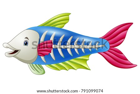 Cute Xray Fish Cartoon Stock Vector (Royalty Free) 791099074 - Shutterstock