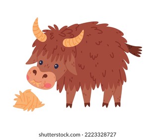 Cute Yak Character with Dense Fur and Horns Chewing Hay Vector Illustration