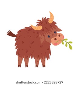 Cute Yak Character with Dense Fur and Horns Standing and Chewing Grass Vector Illustration