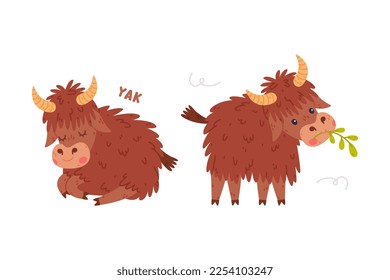 Cute Yak Character with Dense Fur and Horns Chewing Grass and Sleeping Vector Set