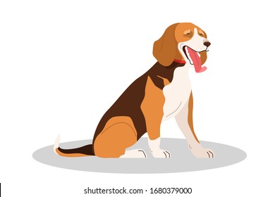 Cute yawning sleepy dog. Purebread beagle sitting and yawning. Funny domestic pet want to sleep. Isolated vector illustration in cartoon style