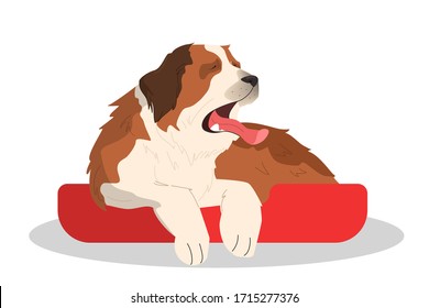 Cute yawning sleepy dog. Purebread saintbernar lying. Funny domestic pet want to sleep. Isolated vector illustration in cartoon style