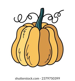 Cute yellow autumn pumpkin. Hand drawn illustration for Halloween and Thanksgiving decoration.