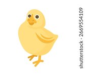 Cute yellow baby chick vector illustration. Easter chicken cartoon character isolated on white background. Flat animal design for holiday decoration, greeting cards, stickers, and children’s projects.