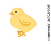Cute yellow baby chick vector illustration. Easter chicken cartoon character isolated on white background. Flat animal design for holiday decoration, greeting cards, stickers, and children’s projects.