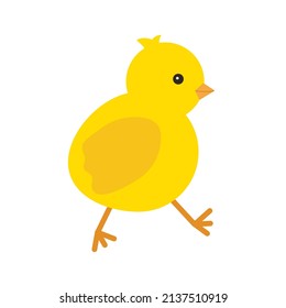 Cute yellow baby chicken for Easter design. Little yellow cartoon chick. Vector illustration isolated on white background