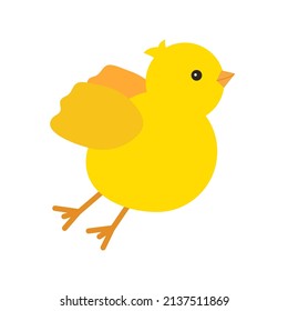 Cute yellow baby chicken fly, for Easter design. Little yellow cartoon chick. Vector illustration isolated on white background