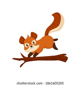 Cute yellow brown squirrel forest animal