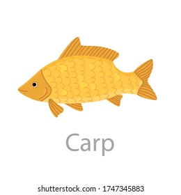 Cute yellow carp fish vector flat illustration. River animal swimming isolated on white background. Colorful cartoon clipart for design.