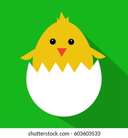Cute yellow cartoon baby chicken