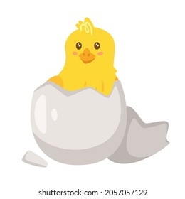 Cute yellow chick breaks free of the shell. Chick sitting in a cracked egg. Hatching process. Vector illustration isolated on white background.
