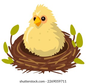 cute yellow chick is sitting in the nest. flat vector illustration.