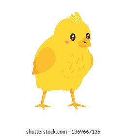 Cute yellow chick. Vector illustration isolated on white background.