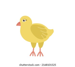 Cute yellow chicken with a cartoon-style beak. Vector character of a bird from a farm isolated on a white background.