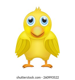 cute yellow chicken in front view animal vector illustration isolated on white