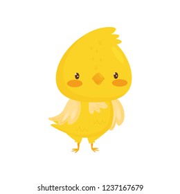 Cute yellow chicken, funny bird cartoon character vector Illustration on a white background