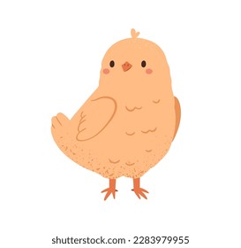 Pollo amarillo lindo. Una pequeña y divertida chica. Feliz y adorable bebé pájaro recién nacido de pie. Carácter dulce y delicado, aves. Ilustración vectorial plana aislada en fondo blanco