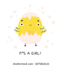 Cute yellow chicken hatched out of the egg. It’s a girl! Baby in the family. Newborn little yellow cartoon chick for Easter design. Cartoon vector illustration.