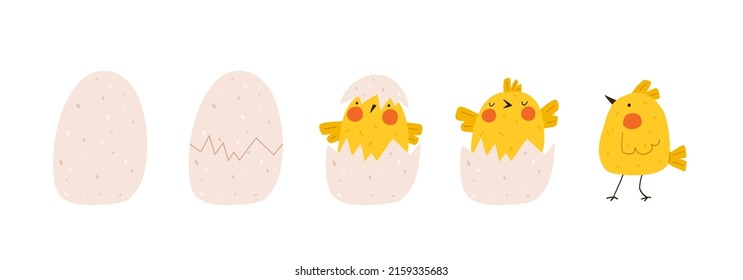 Cute yellow chicken hatched out of the egg. Newborn little funny chick emergence from egg. Elements for Easter designs. Cartoon vector illustration.