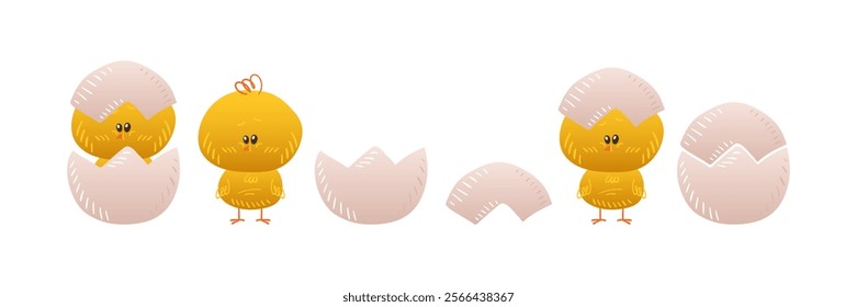 Cute yellow chicken. Little baby chick hatched from an egg. Chicken shell egg. Easter element. Vector cartoon illustration.