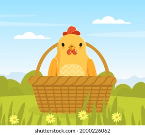 Cute Yellow Chicken Sitting in Wicker Basket on Spring or Summer Landscape Vector Illustration