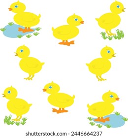 Cute yellow chickens and ducklings. The concept of Easter and agriculture