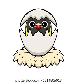 Cute yellow collared love bird cartoon inside from egg